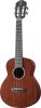 aNueNue African Mahogany AMM2 Concert